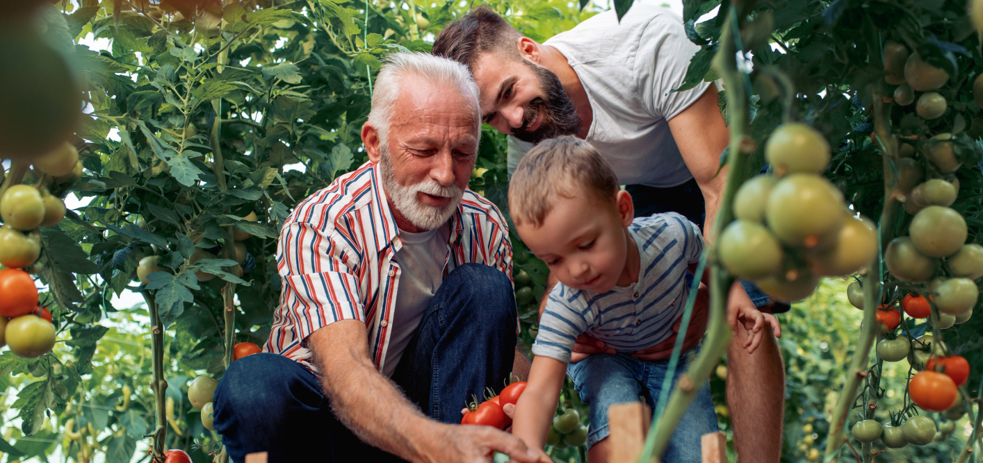 New York Life Insurance Coverage